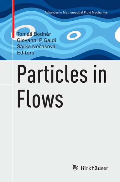 Tomáš Bodnár, Giovanni P. Galdi, Šárka Nečasová - Particles in Flows, Häftad