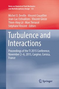 bokomslag Turbulence and Interactions