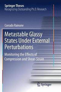 bokomslag Metastable Glassy States Under External Perturbations