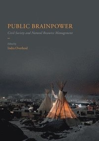 bokomslag Public Brainpower