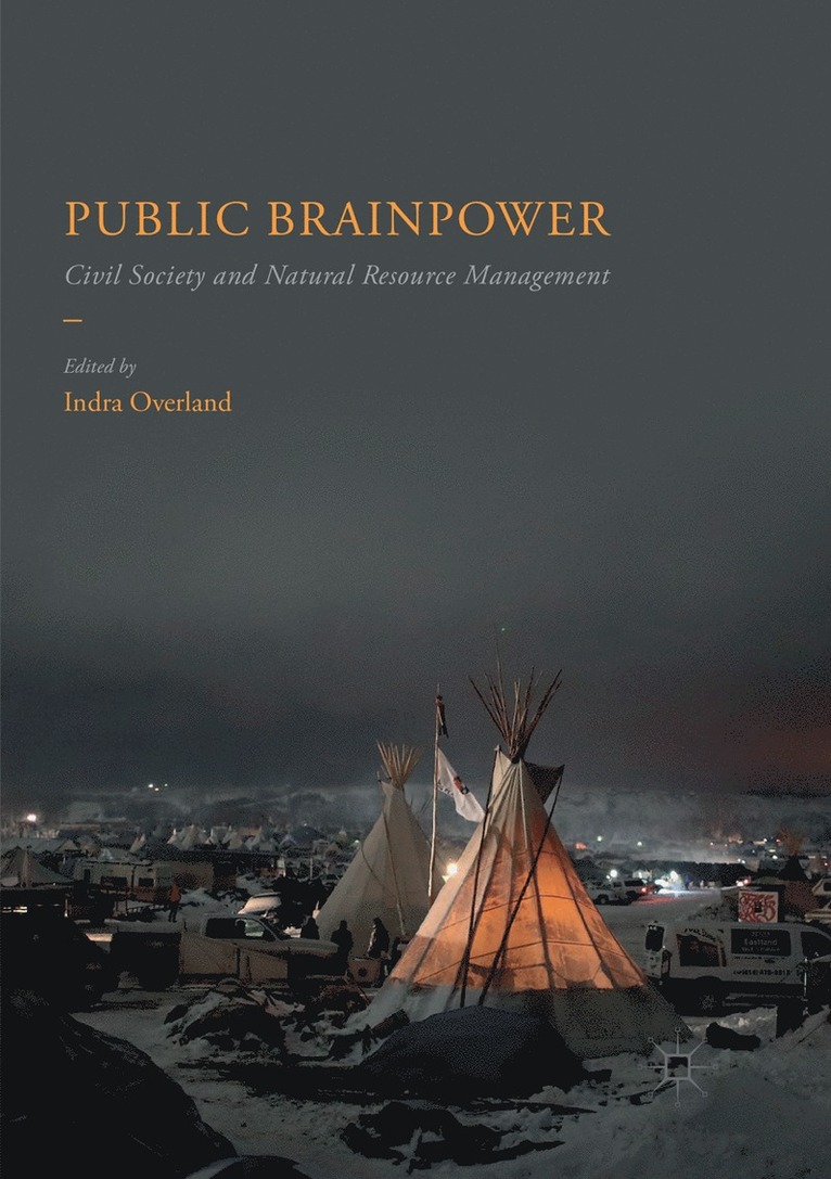 Indra Overland - Public Brainpower, Häftad