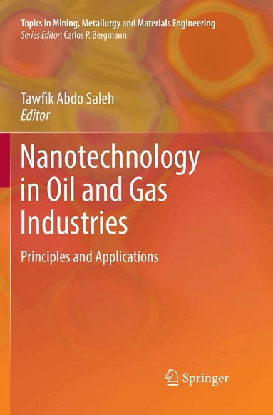 Tawfik Abdo Saleh - Nanotechnology in Oil and Gas Industries, Häftad