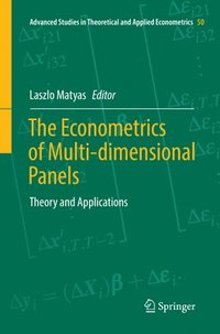 bokomslag The Econometrics of Multi-dimensional Panels