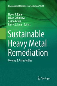 bokomslag Sustainable Heavy Metal Remediation