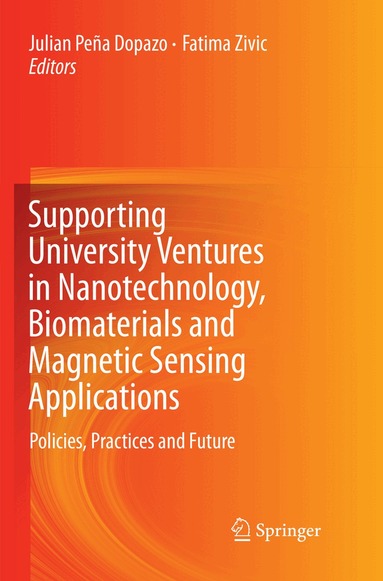 Julian Peña Dopazo, Fatima Zivic - Supporting University Ventures in Nanotechnology, Biomaterials and Magnetic Sensing Applications, Häftad
