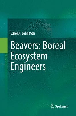 bokomslag Beavers: Boreal Ecosystem Engineers