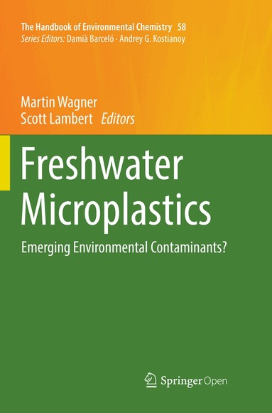 Martin Wagner, Scott Lambert - Freshwater Microplastics, Häftad