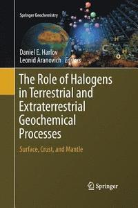 bokomslag The Role of Halogens in Terrestrial and Extraterrestrial Geochemical Processes