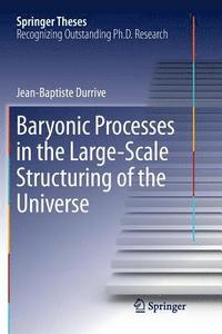 bokomslag Baryonic Processes in the Large-Scale Structuring of the Universe