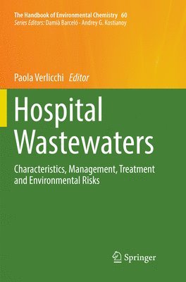 Paola Verlicchi - Hospital Wastewaters, Häftad