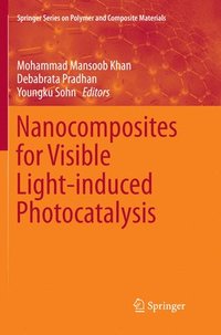 bokomslag Nanocomposites for Visible Light-induced Photocatalysis