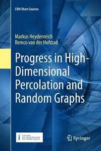 bokomslag Progress in High-Dimensional Percolation and Random Graphs