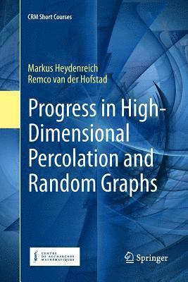 bokomslag Progress in High-Dimensional Percolation and Random Graphs