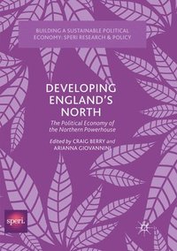 bokomslag Developing Englands North