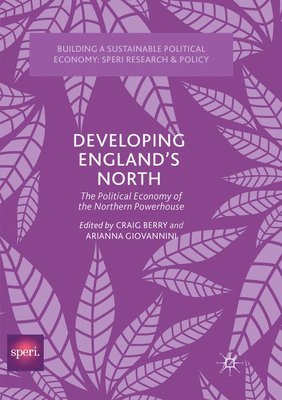 bokomslag Developing England's North