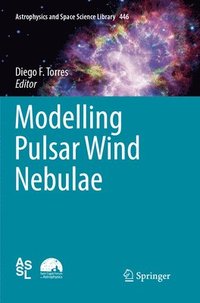 bokomslag Modelling Pulsar Wind Nebulae