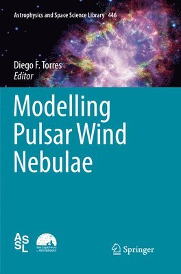 Modelling Pulsar Wind Nebulae 1