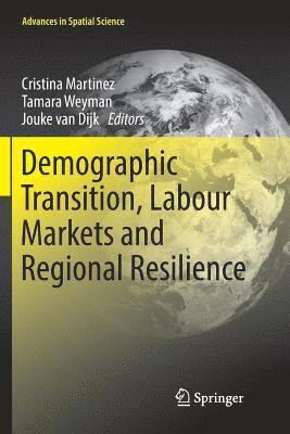 bokomslag Demographic Transition, Labour Markets and Regional Resilience