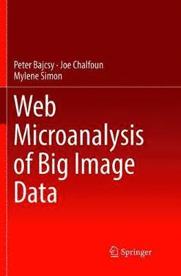 bokomslag Web Microanalysis of Big Image Data