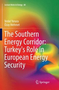 bokomslag The Southern Energy Corridor: Turkey's Role in European Energy Security