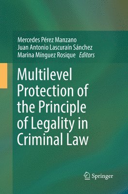 Multilevel Protection of the Principle of Legality in Criminal Law 1
