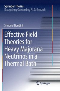 bokomslag Effective Field Theories for Heavy Majorana Neutrinos in a Thermal Bath