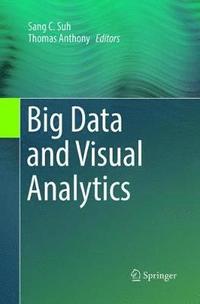 bokomslag Big Data and Visual Analytics