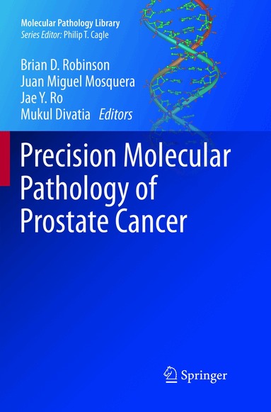 Brian D. Robinson, Juan Miguel Mosquera, Jae Y. Ro, Mukul Divatia - Precision Molecular Pathology of Prostate Cancer, Häftad
