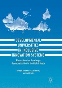 bokomslag Developmental Universities in Inclusive Innovation Systems