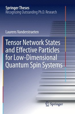 Tensor Network States and Effective Particles for Low-Dimensional Quantum Spin Systems 1