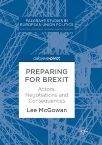 bokomslag Preparing for Brexit