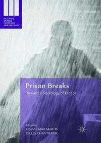 bokomslag Prison Breaks