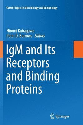 bokomslag IgM and Its Receptors and Binding Proteins