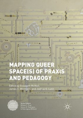 bokomslag Mapping Queer Space(s) of Praxis and Pedagogy