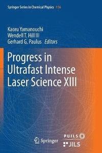 bokomslag Progress in Ultrafast Intense Laser Science XIII
