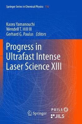 bokomslag Progress in Ultrafast Intense Laser Science XIII