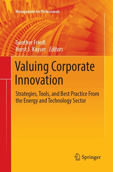 Gunther Friedl, Horst J. Kayser - Valuing Corporate Innovation, Häftad