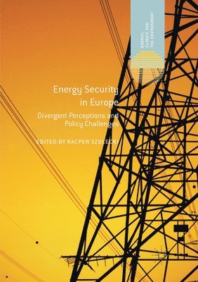 Energy Security in Europe 1