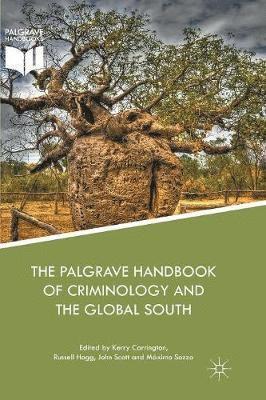 bokomslag The Palgrave Handbook of Criminology and the Global South