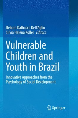 bokomslag Vulnerable Children and Youth in Brazil