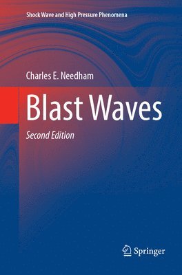 bokomslag Blast Waves