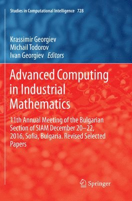 bokomslag Advanced Computing in Industrial Mathematics