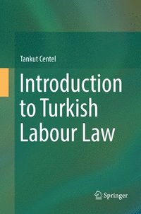 bokomslag Introduction to Turkish Labour Law