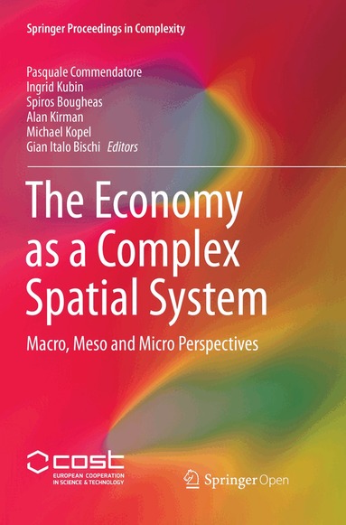 Pasquale Commendatore, Ingrid Kubin, Spiros Bougheas, Alan Kirman, Michael Kopel, Gian Italo Bischi - Economy as a Complex Spatial System, Häftad