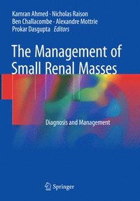 bokomslag The Management of Small Renal Masses