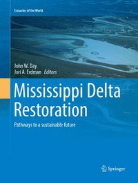 bokomslag Mississippi Delta Restoration
