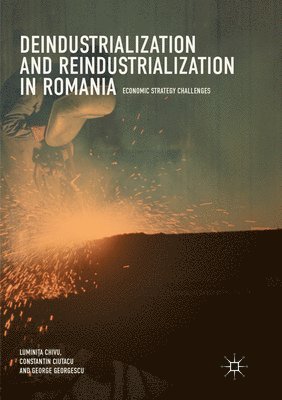 Luminița Chivu, Constantin Ciutacu, George Georgescu, Luminita Chivu, Lumini&#539;a Chivu, Lumini¿a Chivu - Deindustrialization and Reindustrialization in Romania, Häftad