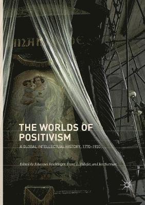 Johannes Feichtinger, Franz L. Fillafer, Jan Surman - Worlds of Positivism, Häftad