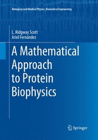 bokomslag A Mathematical Approach to Protein Biophysics