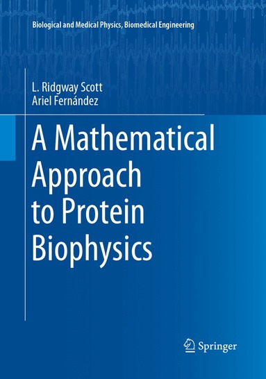 L. Ridgway Scott, Ariel Fernández - Mathematical Approach to Protein Biophysics, Häftad
